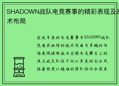 SHADOWN战队电竞赛事的精彩表现及战术布局