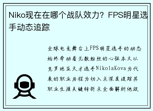 Niko现在在哪个战队效力？FPS明星选手动态追踪
